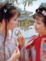 《红楼梦》：理想与现实的交织