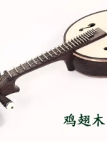 随着乐器的改革，小阮有什么演奏技巧与原理？