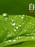 白露：秋季的第三个节气，此时一年中昼夜温差最大