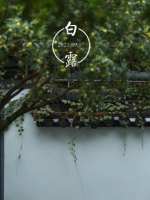 白露节气有什么风俗？白露“三候”指的是什么？
