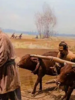 探秘古代法律：贵族与平民之间的生死权