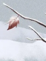 今日小雪，小雪时节有哪些饮食习俗？