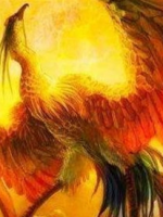 神兽朱雀的形象是怎么来的？朱雀的本意是什么？