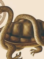 盘点古代的四大神兽，北方之神玄武有什么能力？