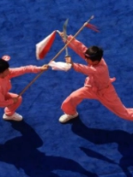 中国武术有多大的威力？叶问一个打十个是真的吗？